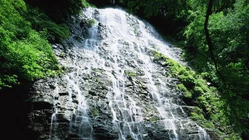 绿色智慧城市